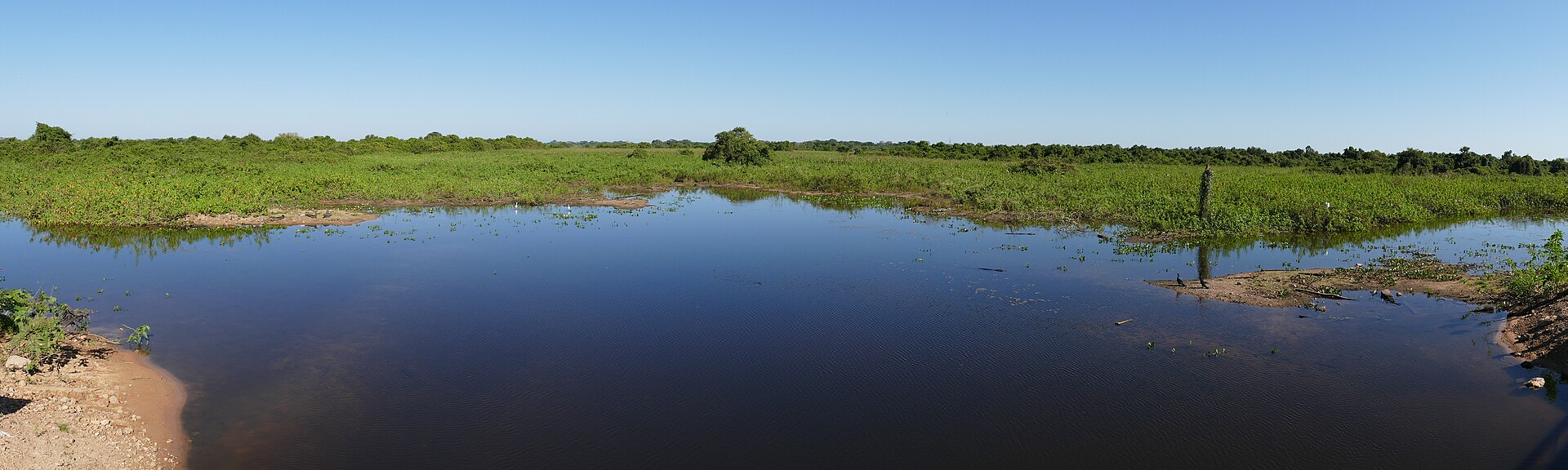 Pantanal: como transformar três dias em uma verdadeira experiência de natureza
